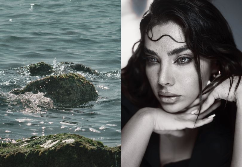 Does Sea Moss Actually Work for Skin, Hair, and Nails?