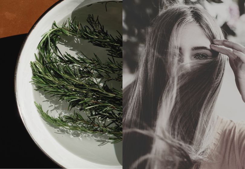 Does Rosemary Oil Work for Hair Growth?